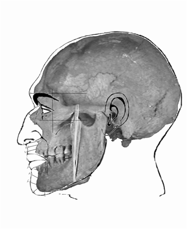 Les hommes de Mechta-Afalou d'Algérie