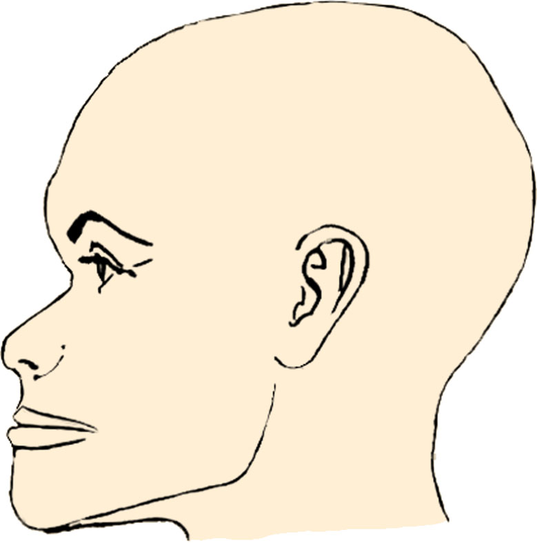 Les hommes de Mechta-Afalou d'Algérie